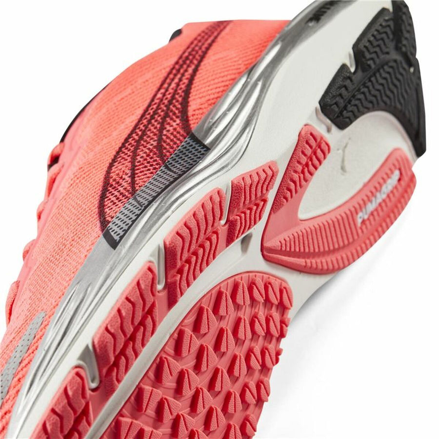 Scarpe da Running per Adulti Puma Velocity Nitro 2 Salmone Donna